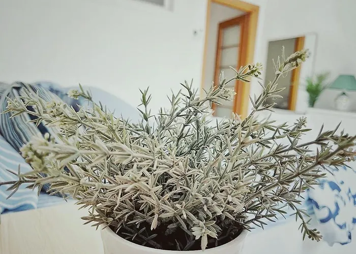 Casa Titti